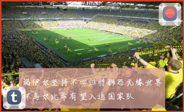 诺伊尔坚持不回归特狮恐无缘世界杯乌尔比希有望入选国家队