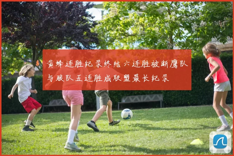 黄蜂连胜纪录终结六连胜被断鹰队与狼队五连胜成联盟最长纪录